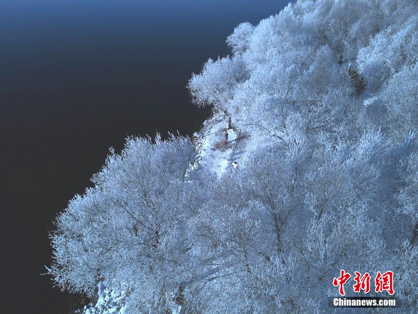 美女扒开腿秘 让人桶爽原神