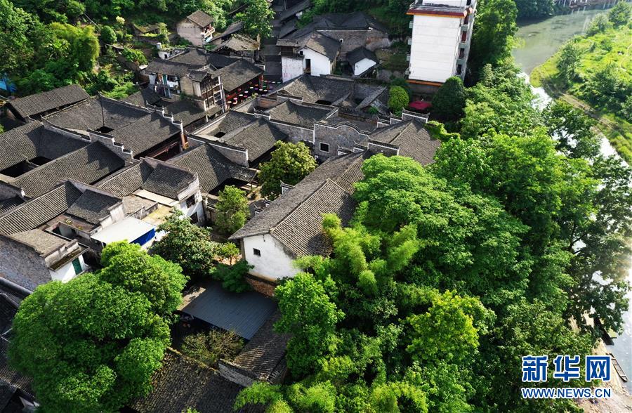 国产黄色电影网站大全
