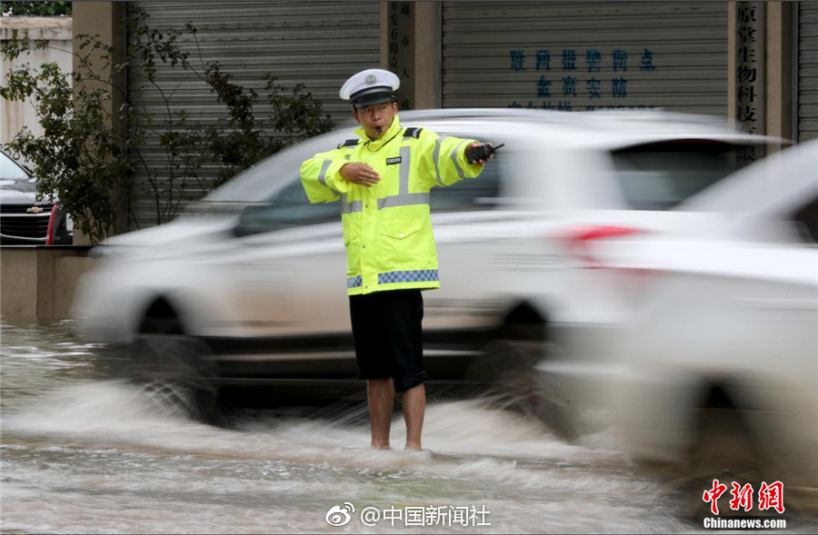 成人 视频 动漫