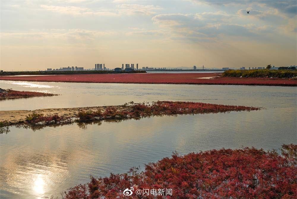 麻豆影院