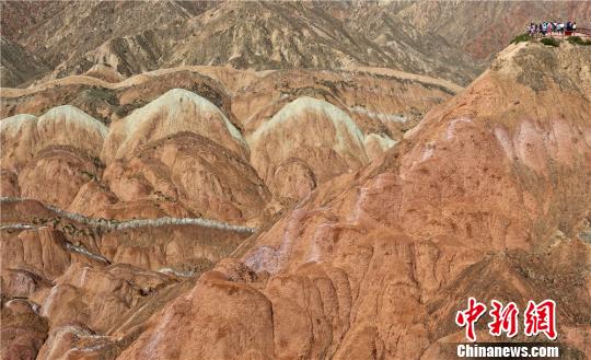 搞黄视频 干净免费 无码