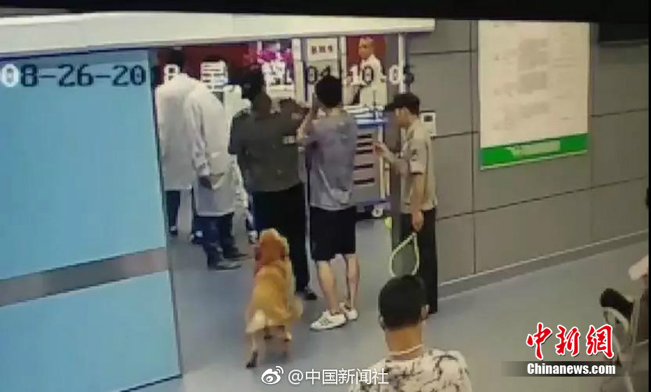 美女巨乳做爱