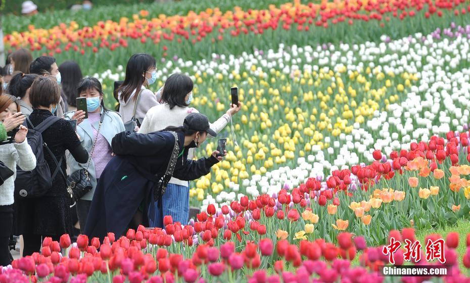 国产熟妇乱子伦hd