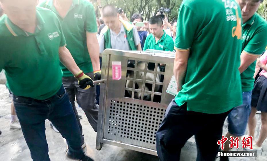 黄色网片,黄色网站