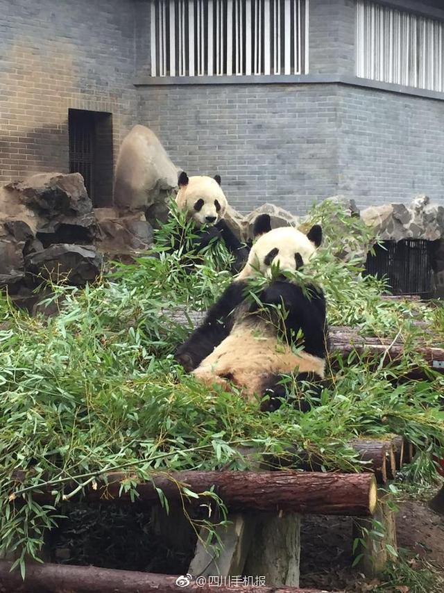波多野结衣无码电影