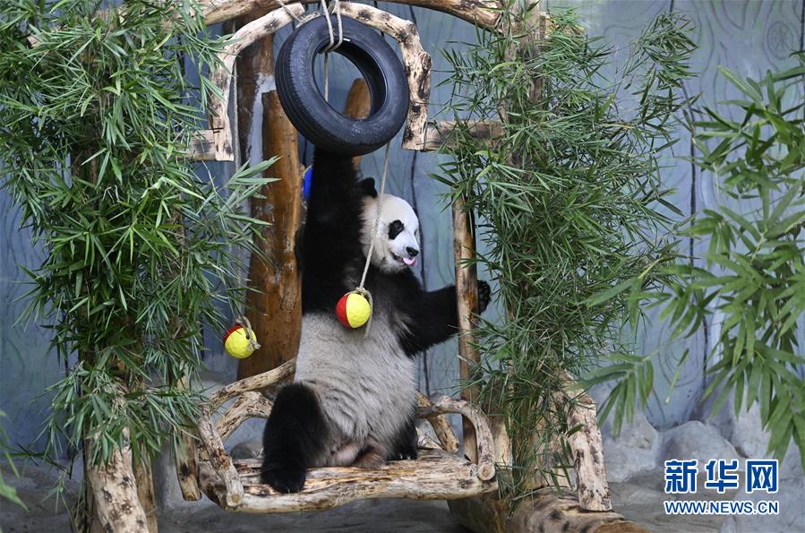 网曝门事件xX视频xX丅Ⅴ一区