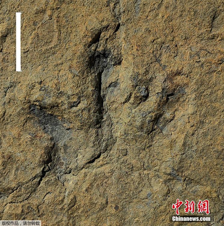 亚洲尺码和欧洲尺码av