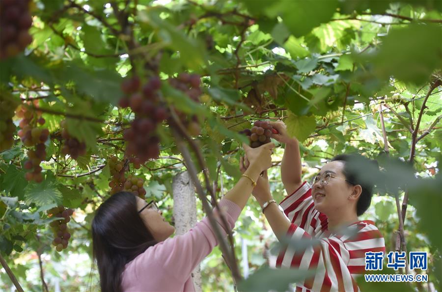 黄色影片黄色影片三级片三级片的视频的视频