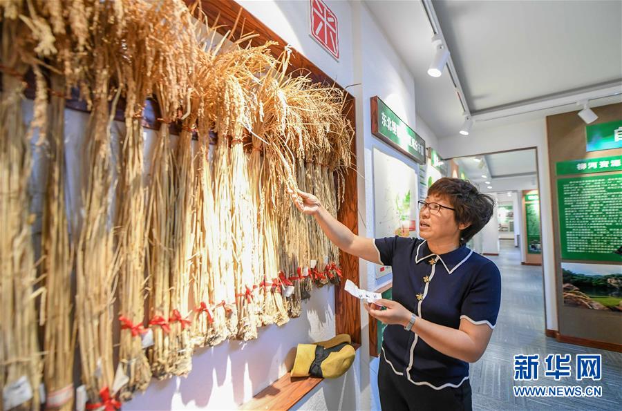 黄色在线免费小视频