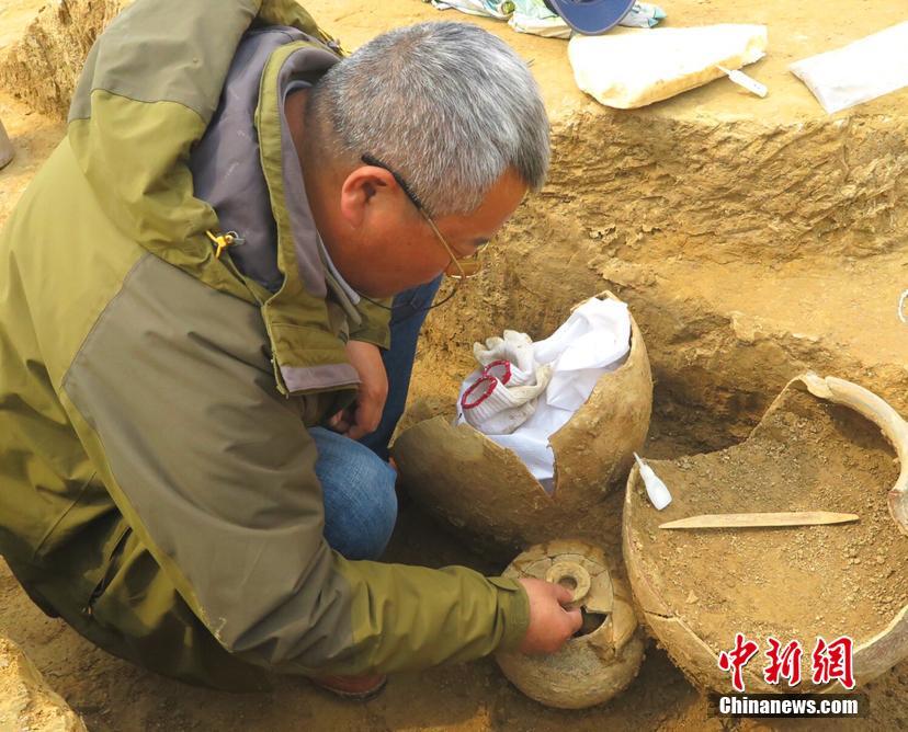 7799视频精品全部免费是什么意思百度