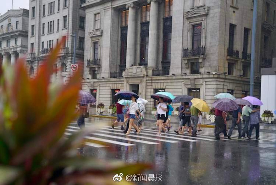 张悠雨