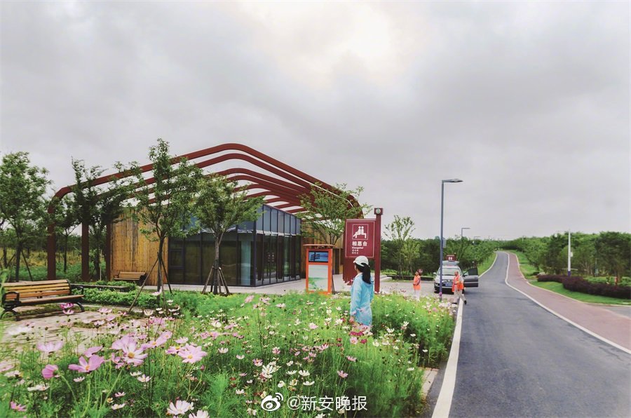 久久免费视频精品