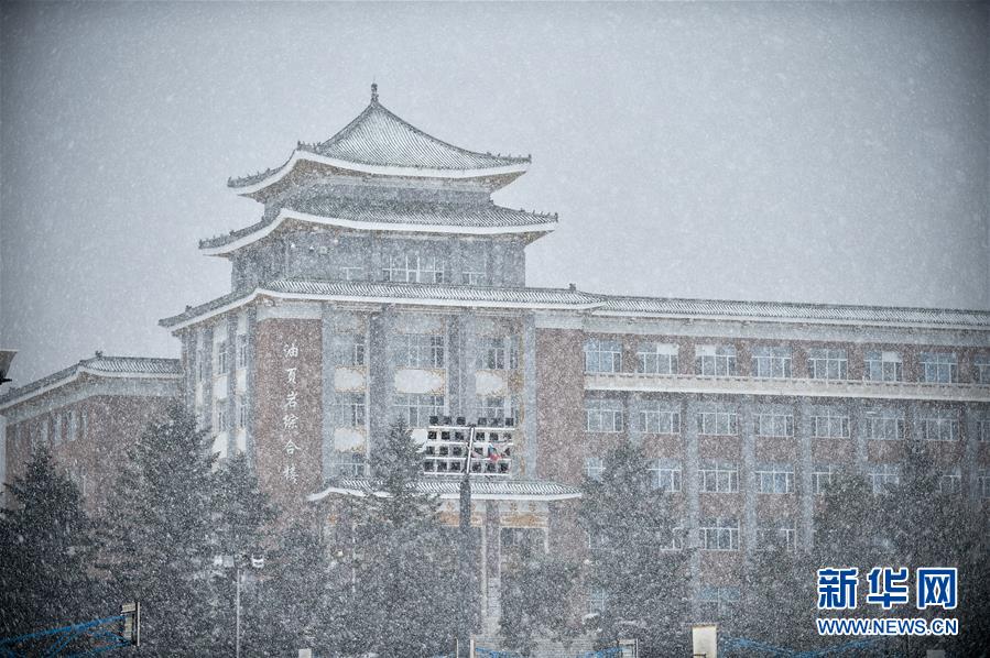 国产Av旡码专区亚洲Av苍井空