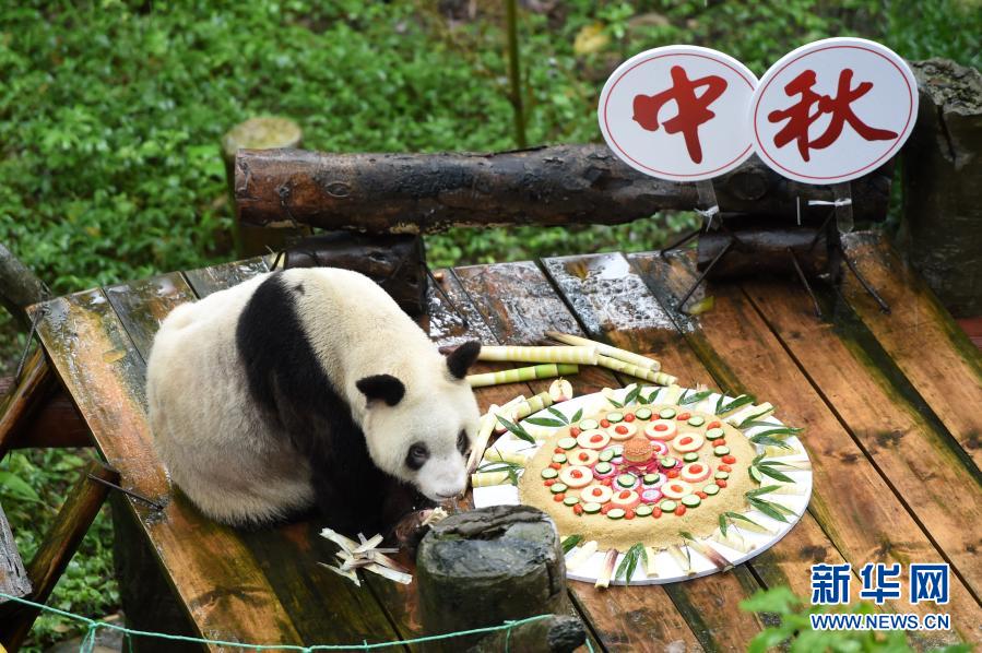 徐淑媛