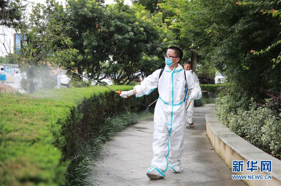 美女裸体视频下载