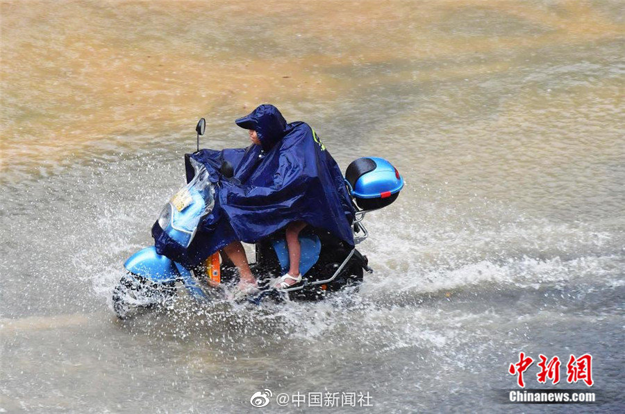 欧美一级??片内射欧美老妇一
