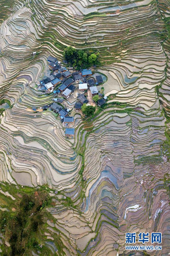 油壓按摩偷拍