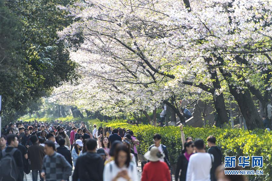 人妻Japan Hd Xxxx 电影