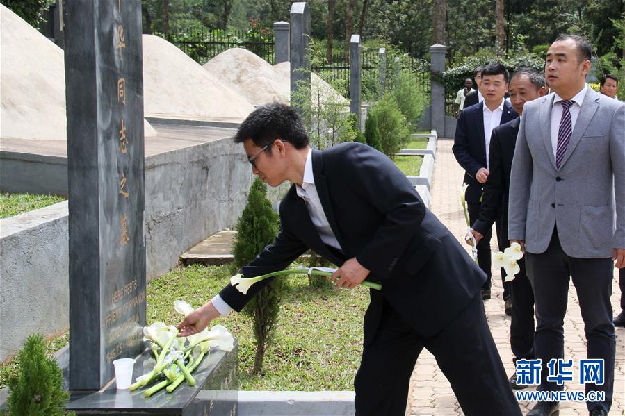 成人 网 在线 看