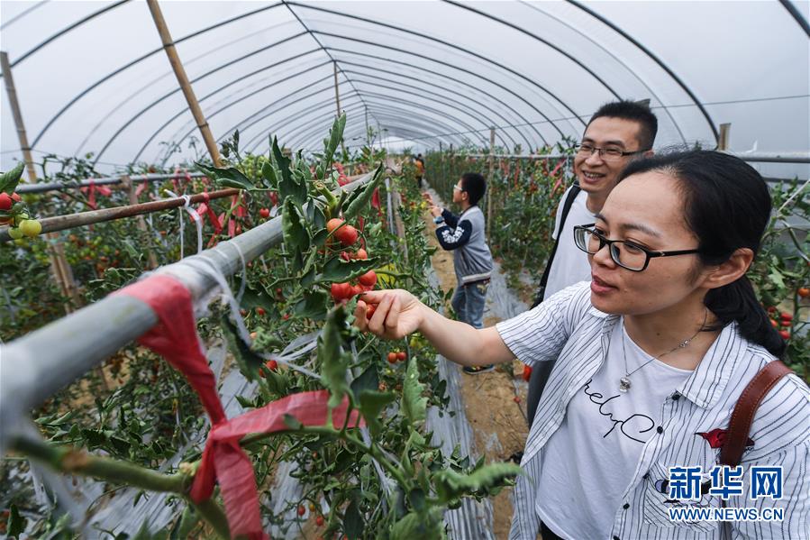 视频高清无码媚