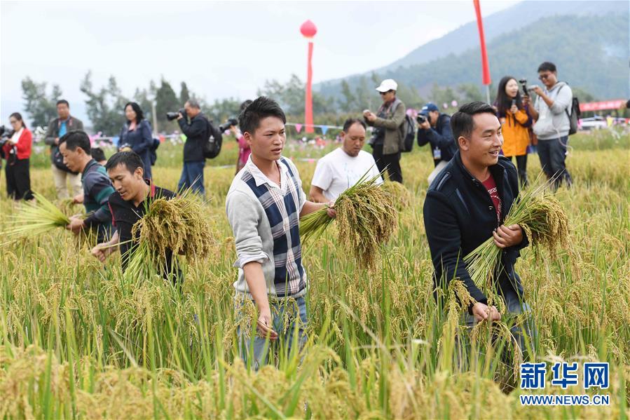 搞黄视频软件免费