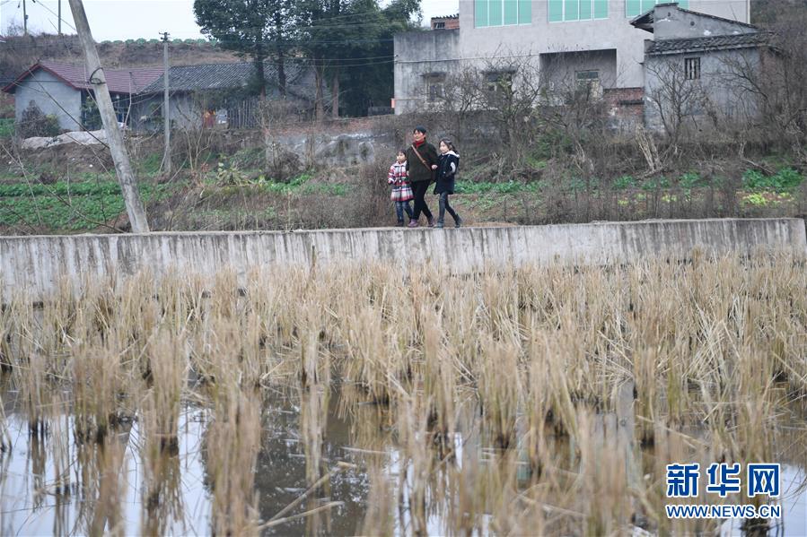 鄭家純
