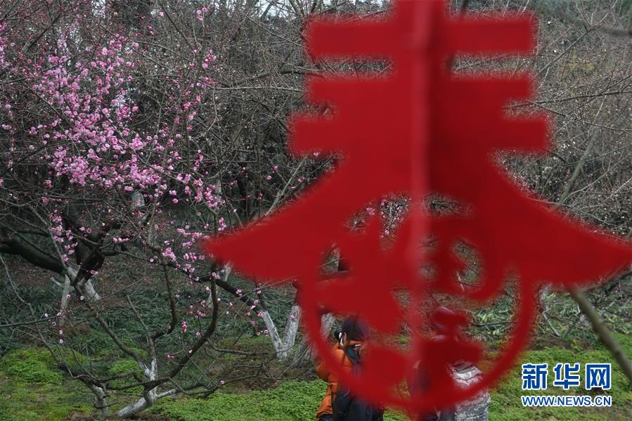 大陆黄色三节片