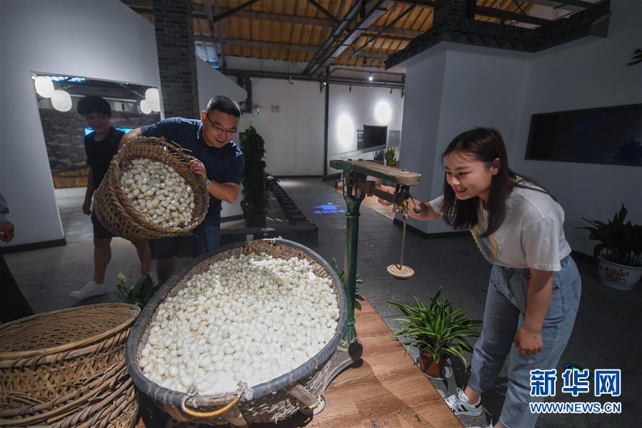 高清多毛屄