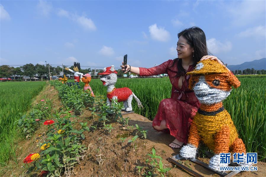 黄色录像一级带现场直播
