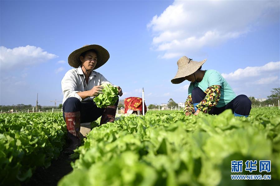 台灣外送茶