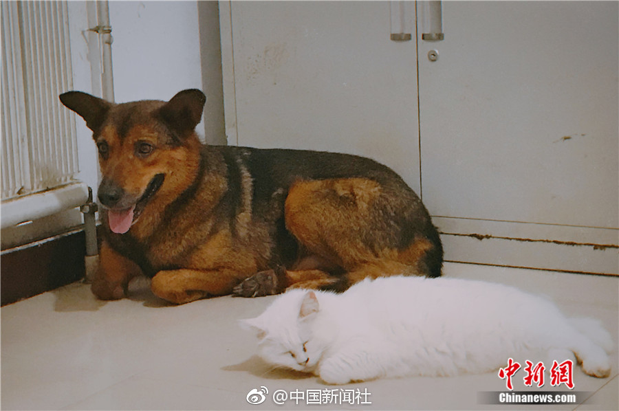欧美少妇艳情三级片免费版