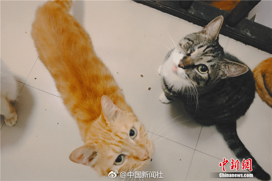 诱子媾交小说