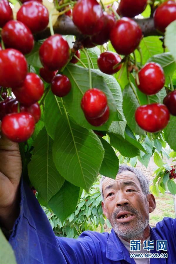 四川BBB搡BBB搡多人乱亂