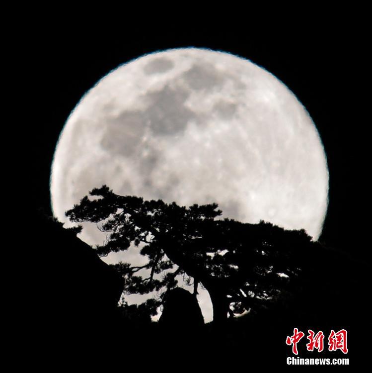 狗操女人视频