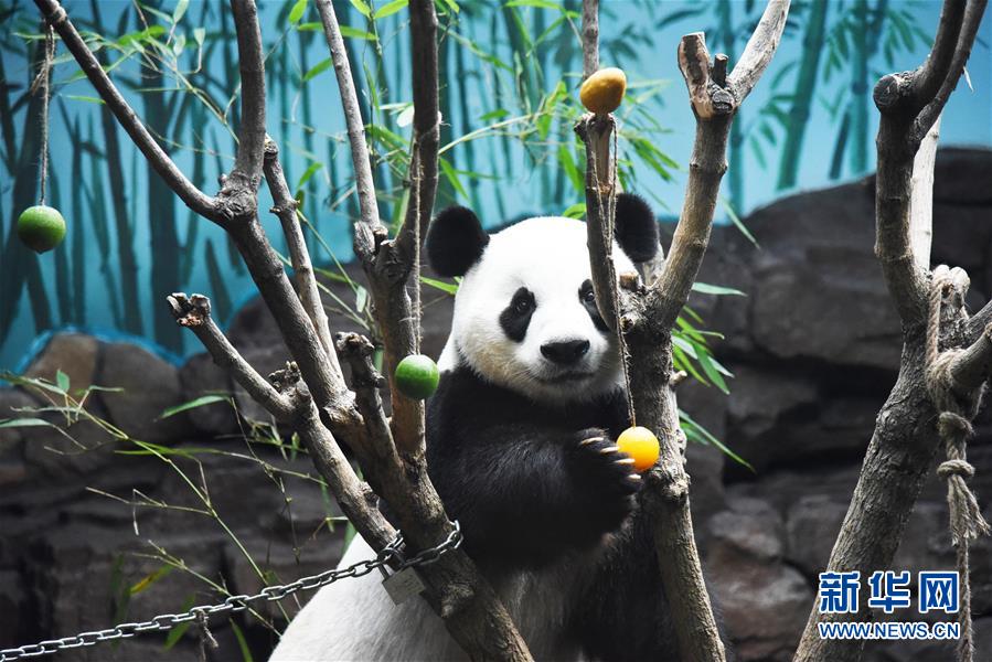 一级中国毛片
