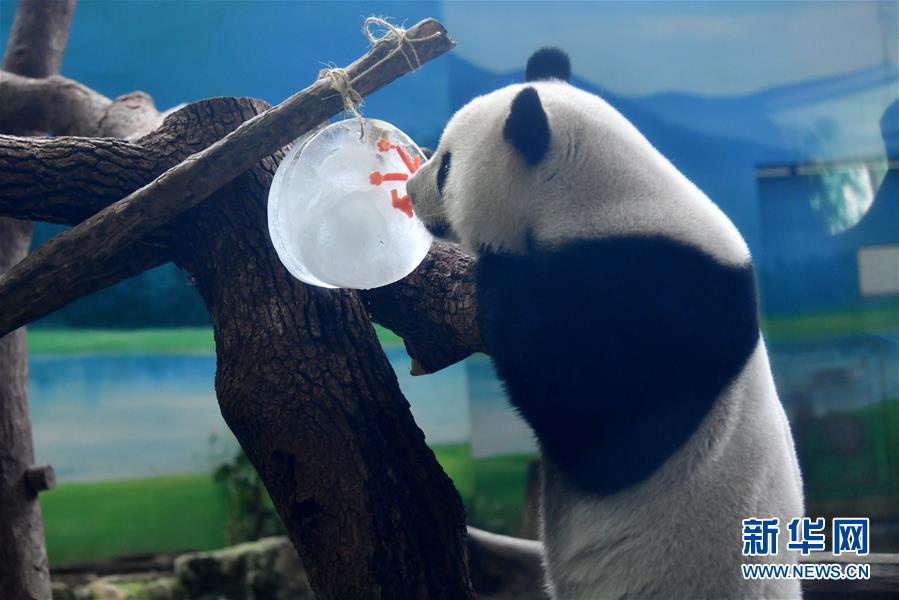 中国裸体模特Vidossex