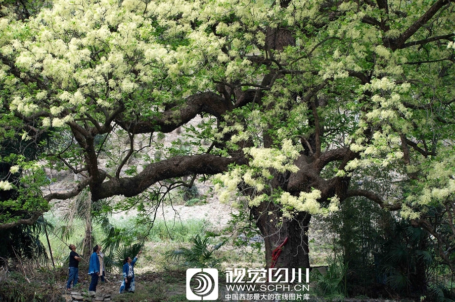 全免费性爱视频