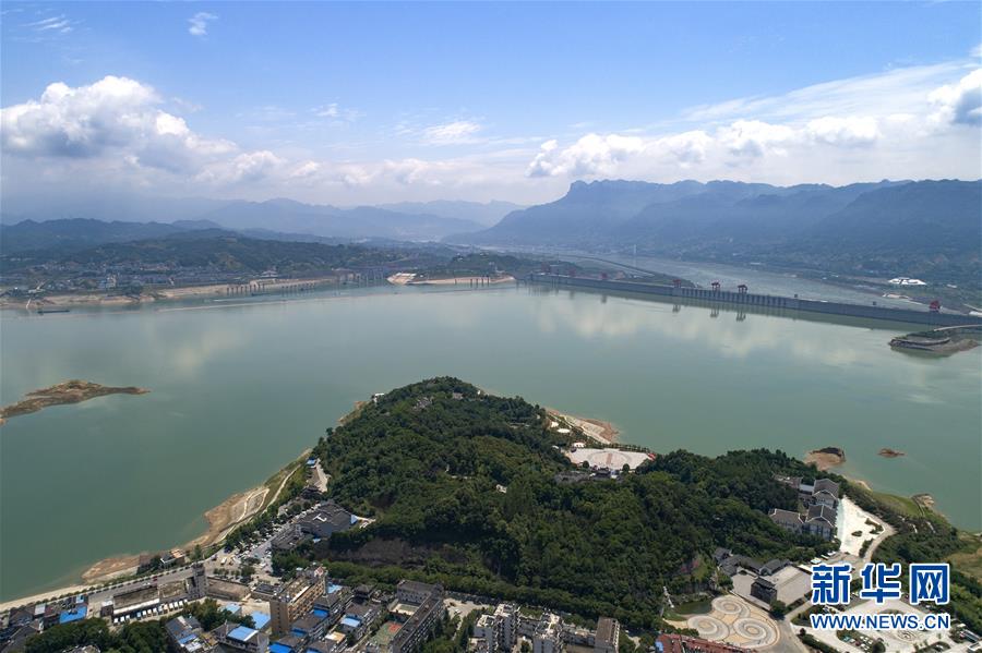 苍苍影院理论片