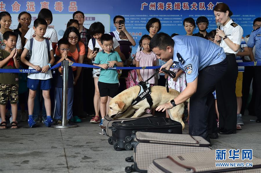 国产黑丝护士黄片