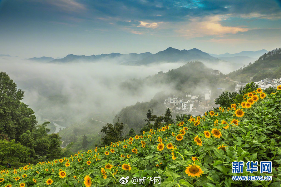 中国老太做爰全过