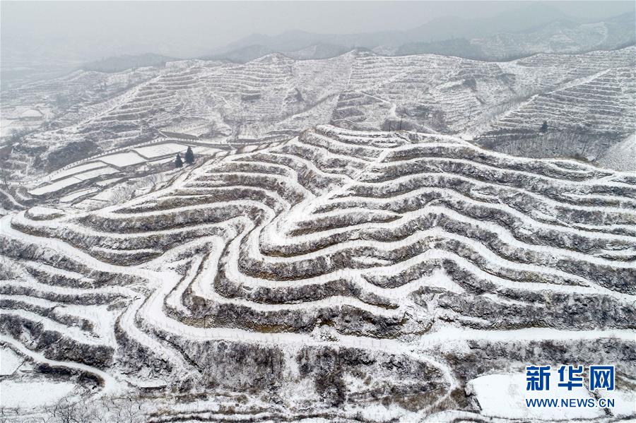 武汉哪些地方可以做供卵试管有什么症状