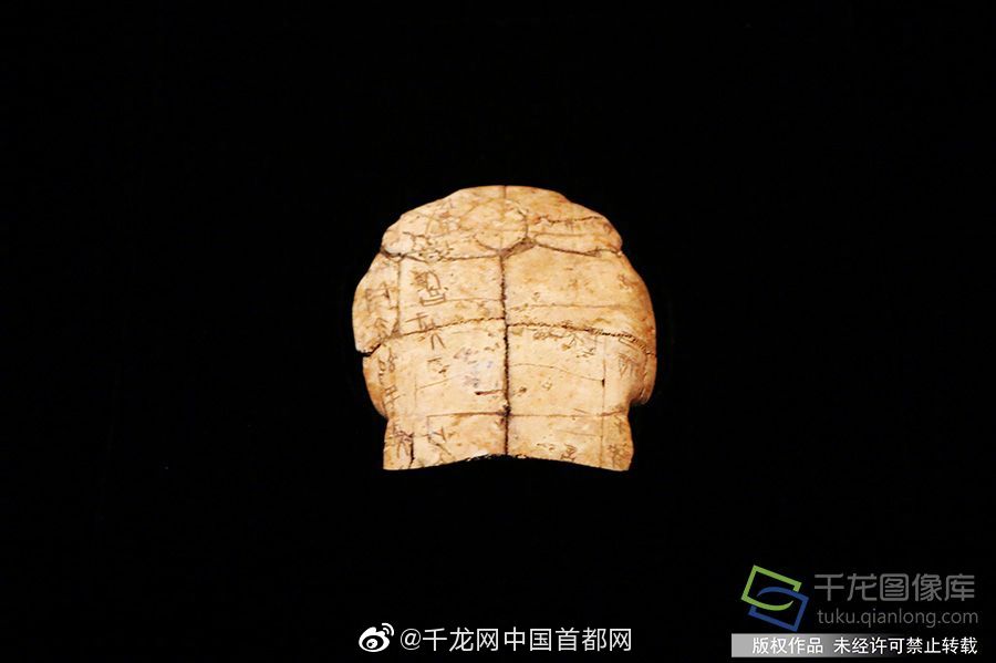 女神 性爱 视频