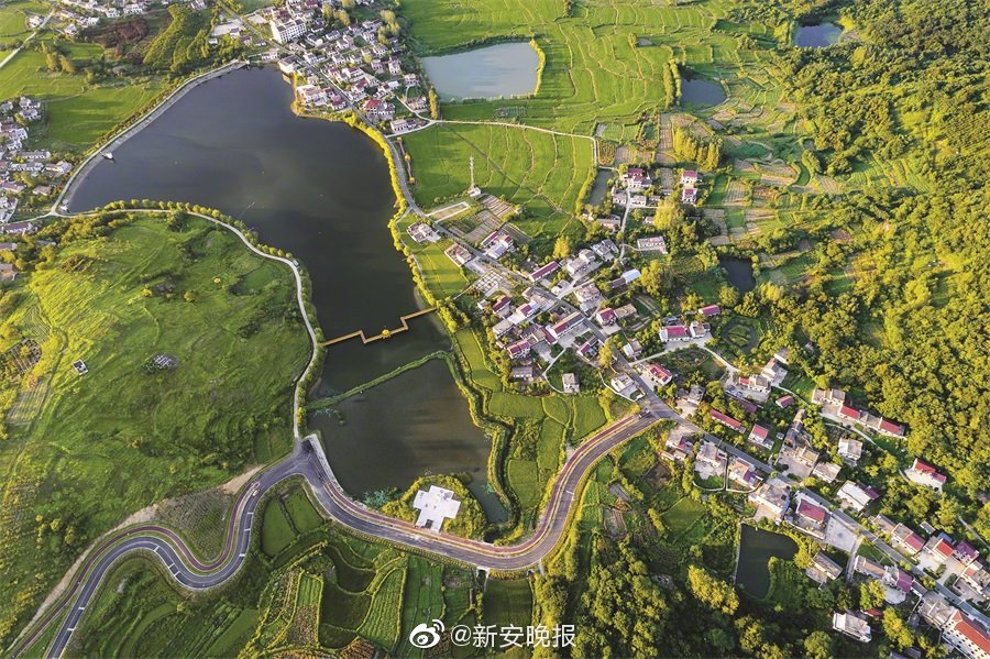 中国青年gary东北大飞机打桩