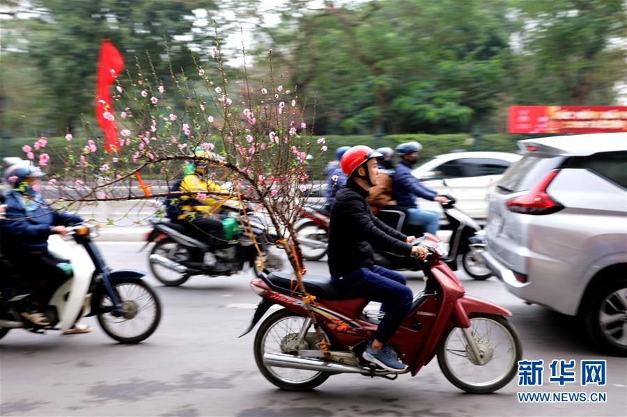 Pee大集旱厕WC偷拍