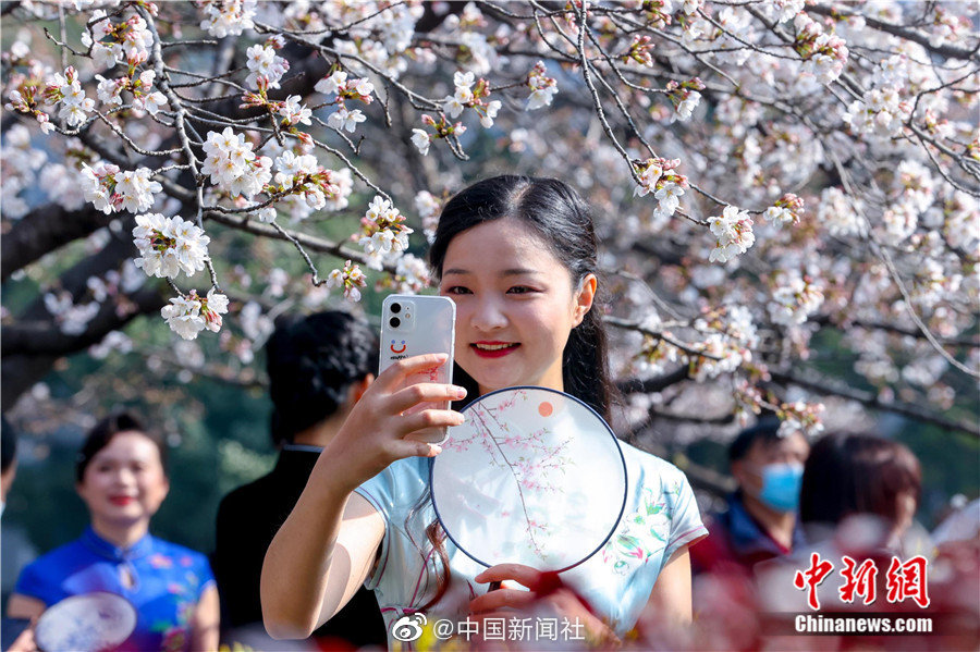 搜一个欧美三级片电影看看