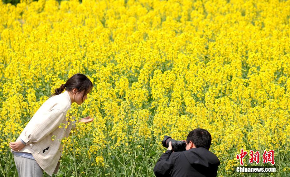 Japanese五十路熟女