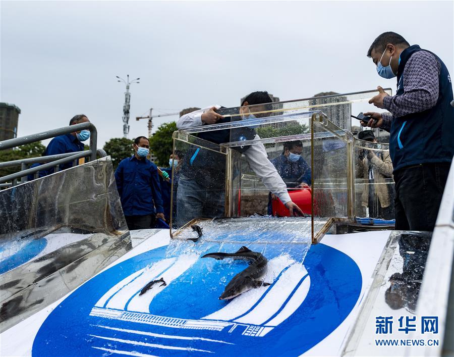 我要看黄色免费下载视频