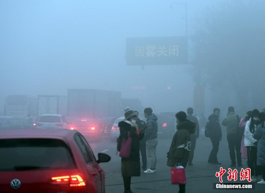 小莫里斯：会有许多身体对立，但我便是为应战而生的