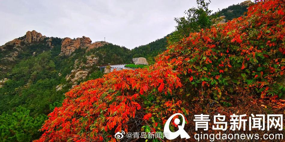 我丰满的岳 久久国产