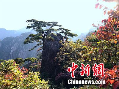 韩国一级婬片A片AAA